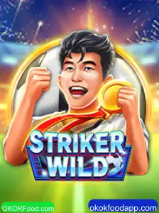 Descubra o Universo Emocionante de StrikerWILD